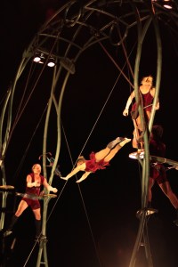 Ca vole toujours plus haut chez Les P'tits Bras!