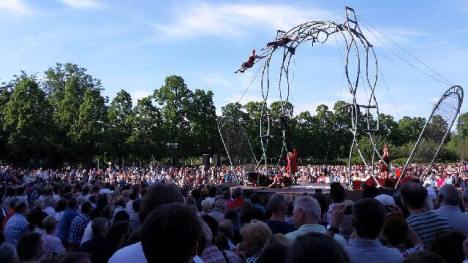 13245264_790972571038227_5243112413636725352_n